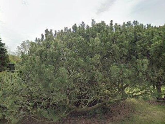 Lejlighed til salg i Holbæk