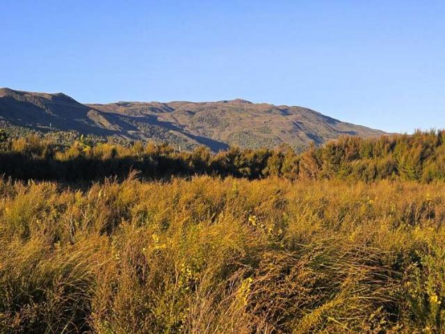 Land for sale in Waimangaroa, West Coast