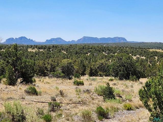 Land for sale in Pie Town, Catron County