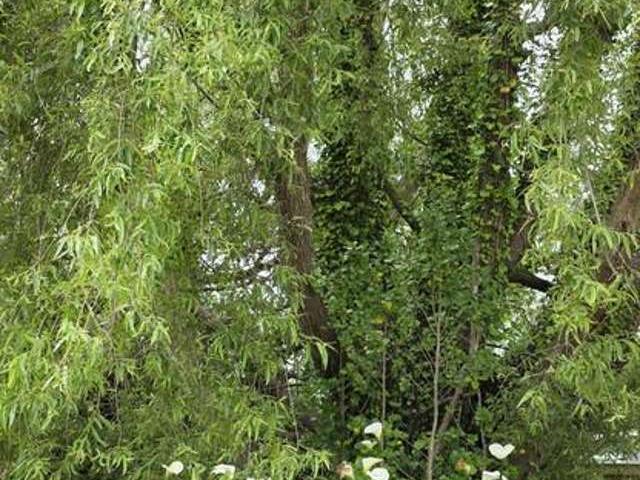 Land for sale in Otaki Beach, Wellington