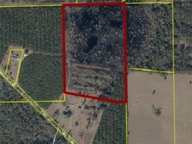 Land for sale in Wellborn, Suwannee County
