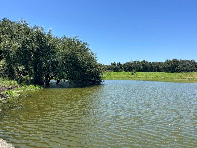 Land for sale in Gustine, Texas