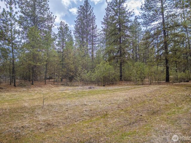 Land for sale in Medical Lake, Spokane County