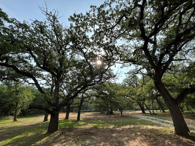 Land for sale in Keller, Texas