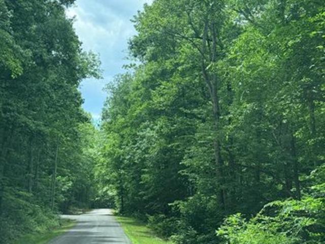 Land for sale in Virginia