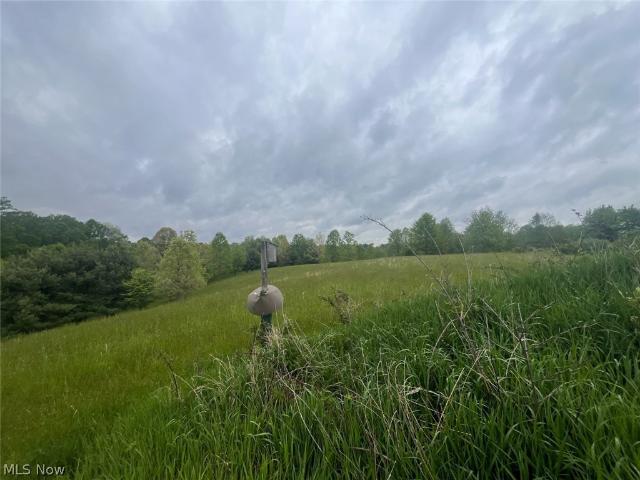 Land for sale in Scio, Ohio