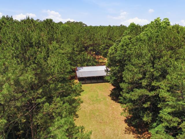 Farm for sale in Village Mills, Texas