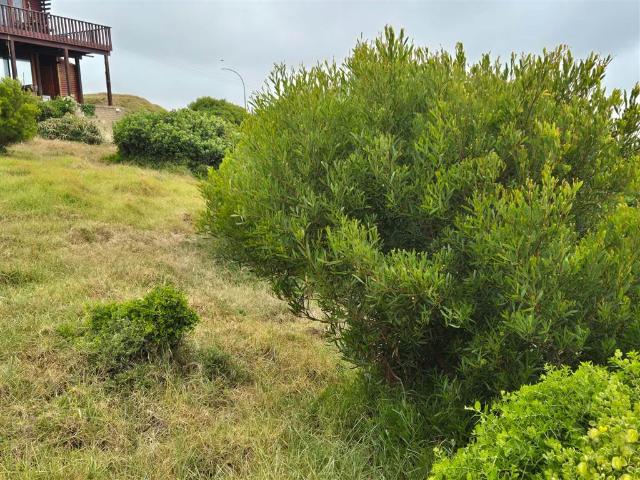 Land for sale in Groot Brak Rivier, Western Cape