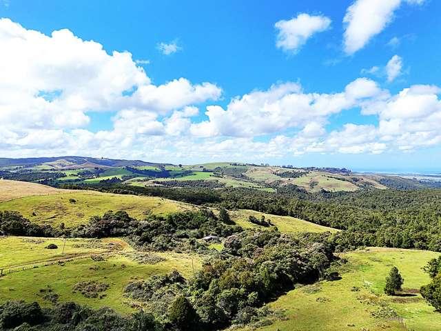 Property for sale in Arapohue, Northland