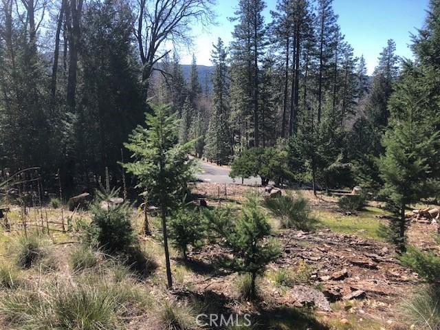 Land for sale in Lake, California