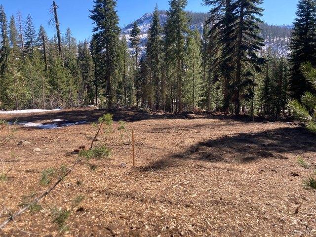 Land for sale in California