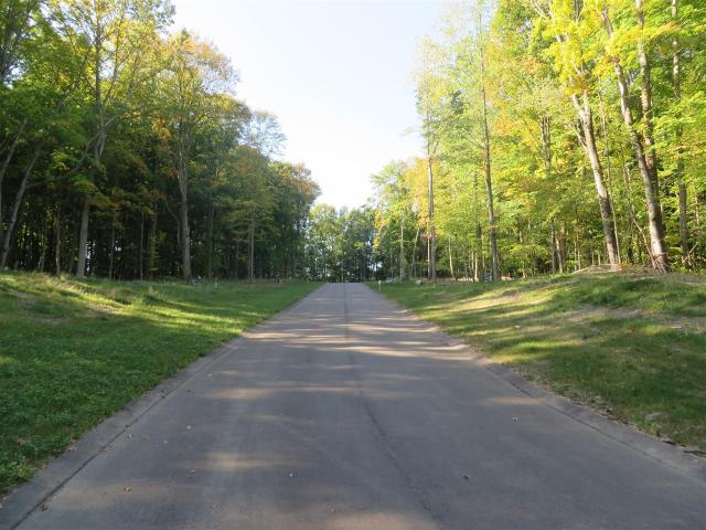 Land for sale in Caledonia Charter Township, Michigan