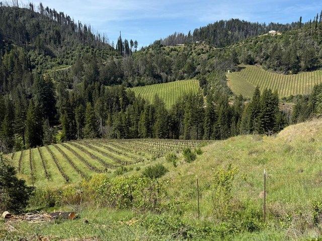 Land for sale in Healdsburg, California