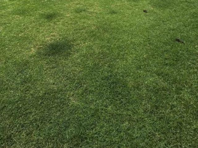 Land for sale in Gert Sibande, Mpumalanga