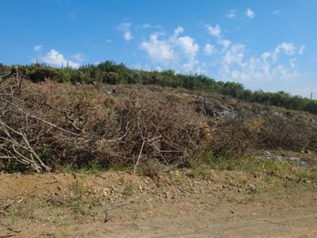 Land for sale in Gauteng
