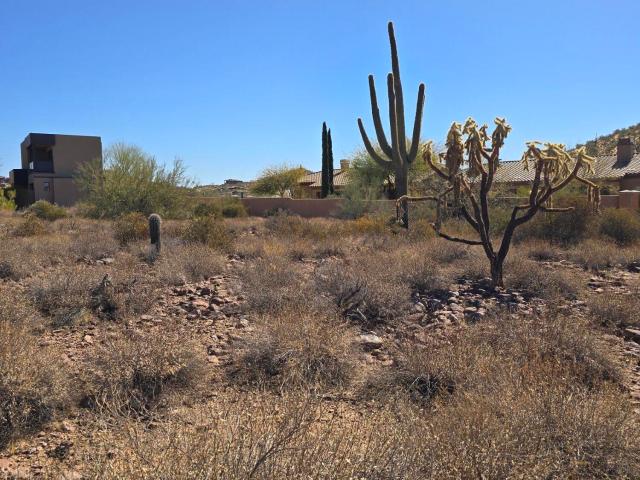 Land for sale in Arizona