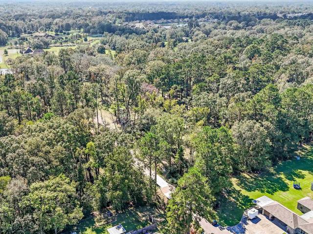 Land for sale in Greenwell Springs, Louisiana