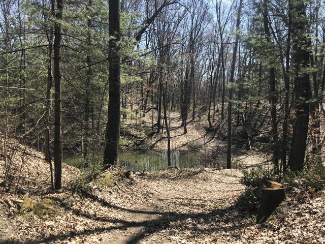 House for sale in Michigan