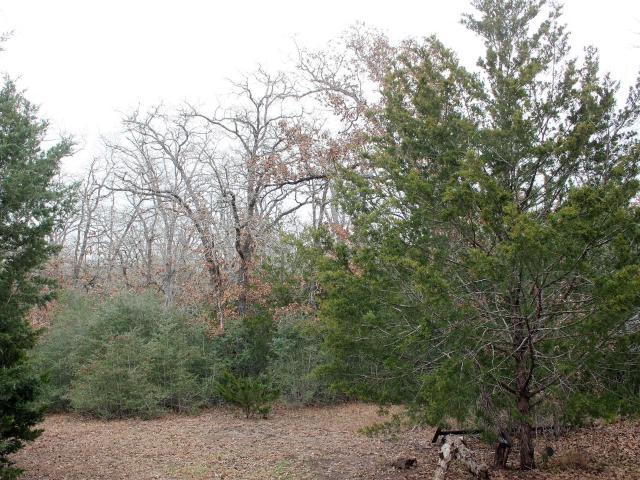 Land for sale in Texas