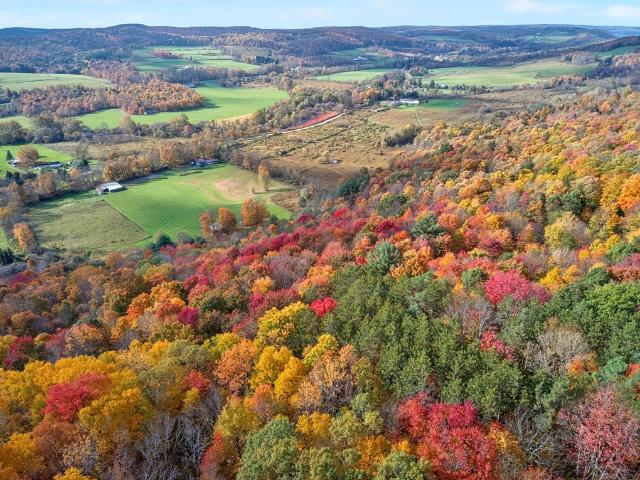 Commercial for sale in Town of Berkshire, Tioga County