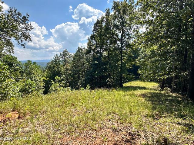 Land for sale in Murphy, Cherokee County