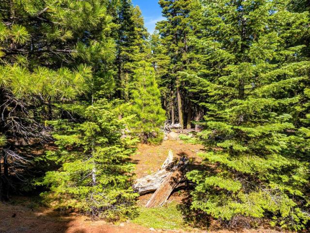 Land for sale in Modoc, California