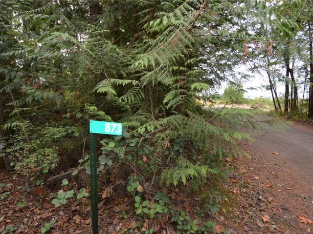 Land for sale in Port Angeles, Clallam County