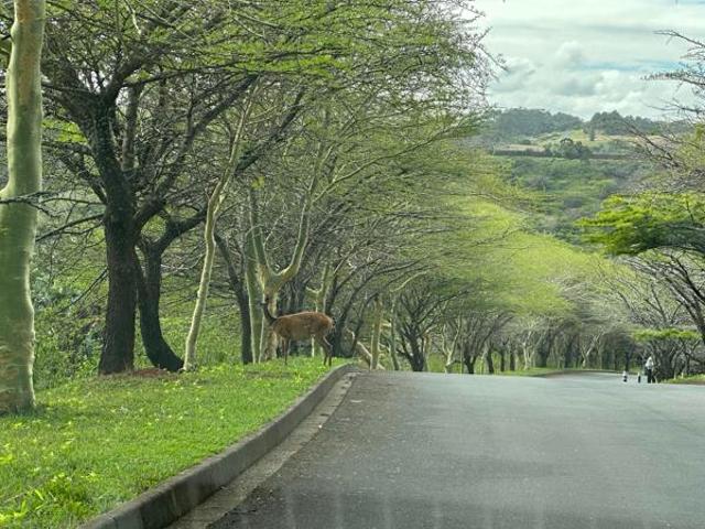 Land for sale in Ugu District Municipality, Kwazulu-natal