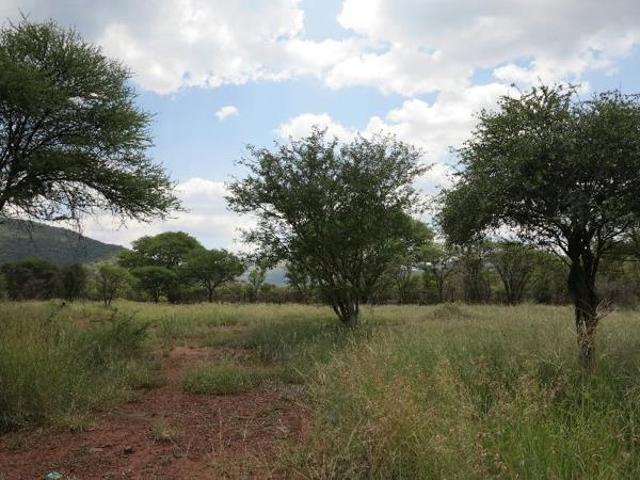 Land for sale in Limpopo