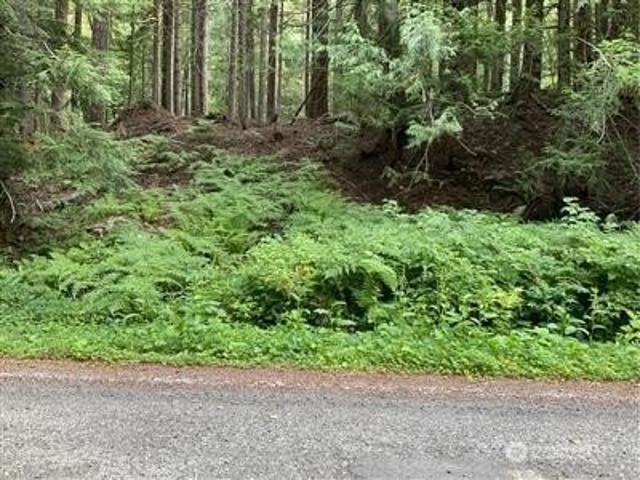 Land for sale in Skykomish, King County