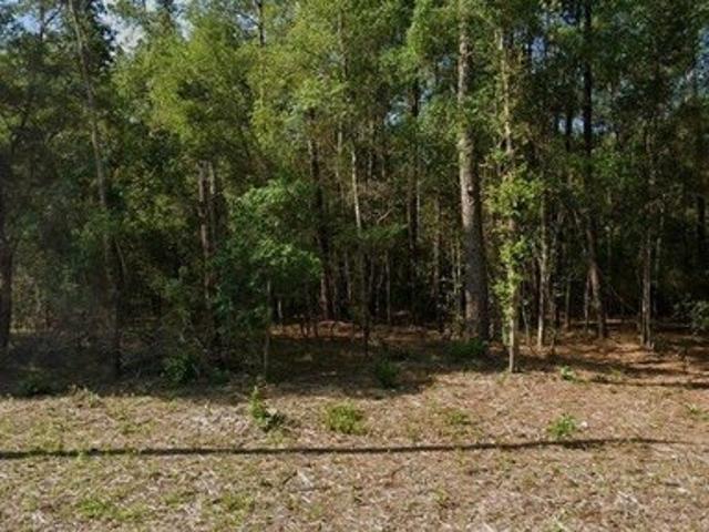 Land for sale in Dunnellon, Florida