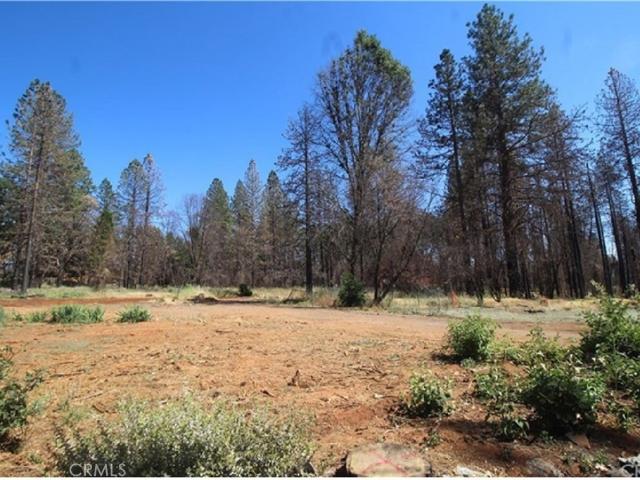 Land for sale in Butte, California