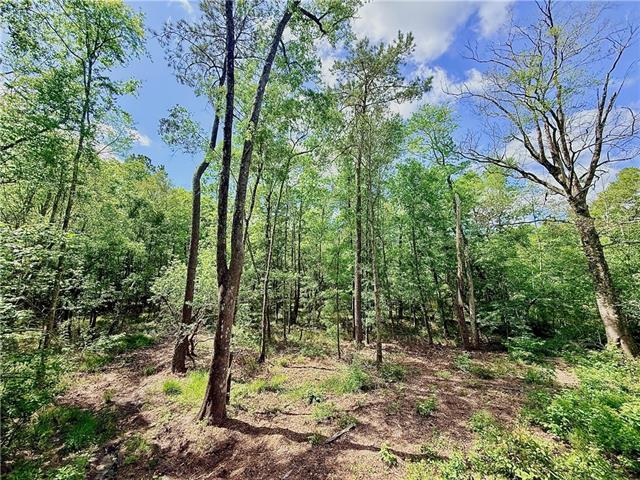 Land for sale in Franklinton, Louisiana