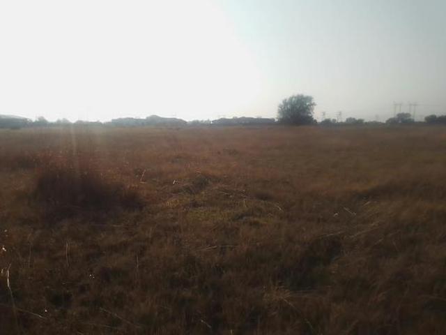 Land for sale in Lejweleputswa, Free State