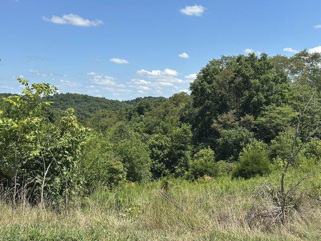 Farm for sale in Sadieville, Scott County