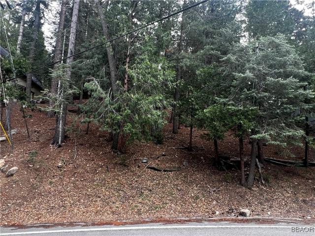 Land for sale in Cedar Glen, California