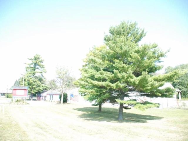 Land for sale in Michigan