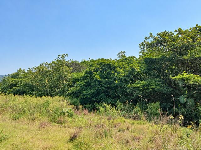 Land for sale in Ballito, KwaDukuza Local Municipality