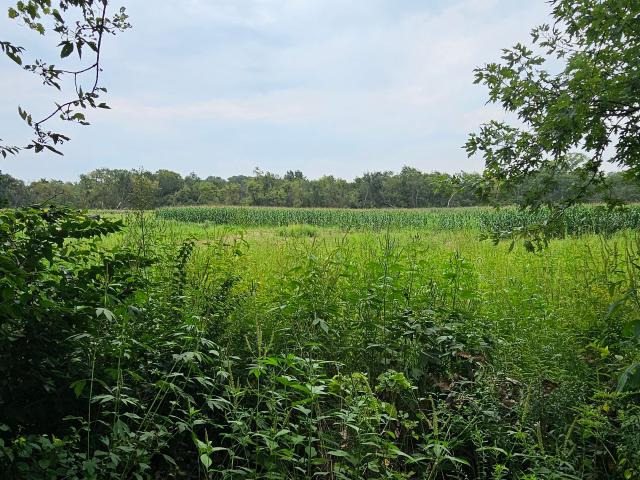 Land for sale in Porter, Indiana