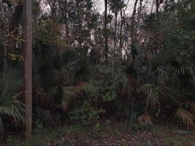 Land for sale in Saint Johns, Florida