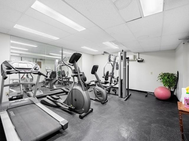 Apartment for rent in Arva, Ontario