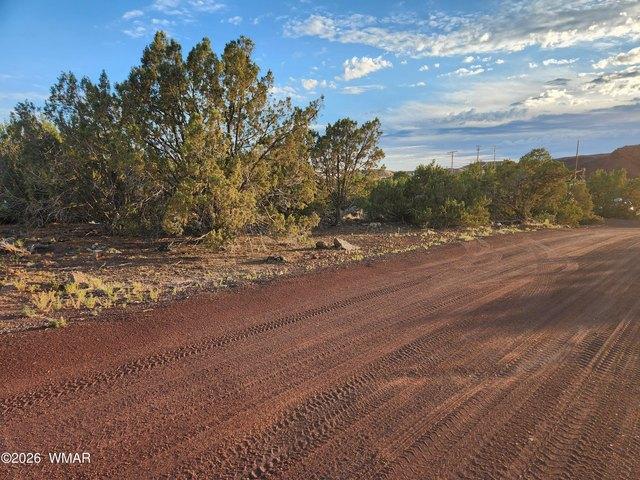 Land for sale in Navajo, Arizona