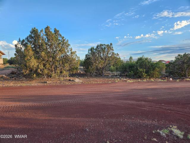 Land for sale in Navajo, Arizona