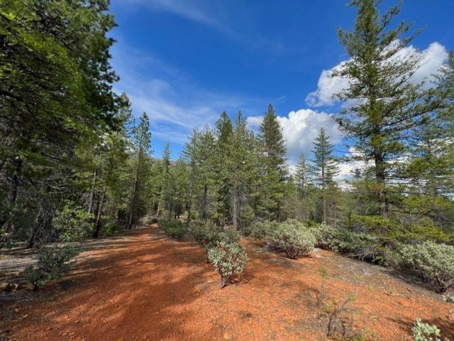 Land for sale in Greenville, California