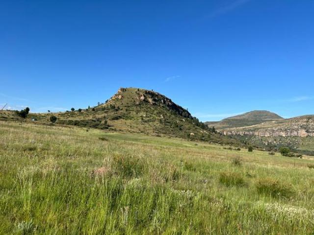 Land for sale in Rosendal, Free State