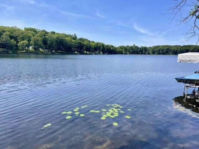 House for sale in Delton, Michigan