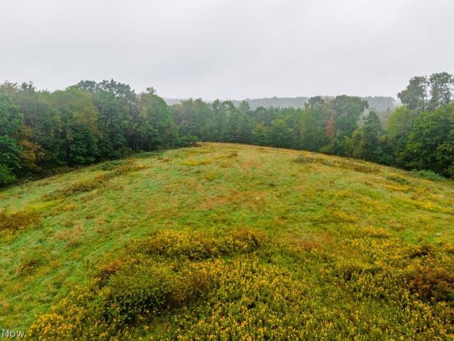 Land for sale in Jewett, Harrison County
