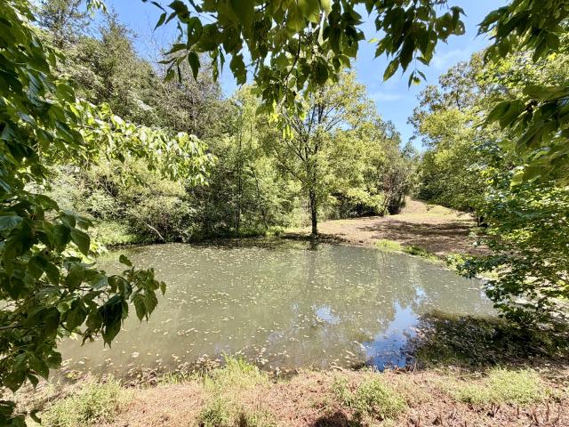 Land for sale in Tennessee