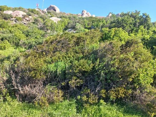 Land for sale in Western Cape