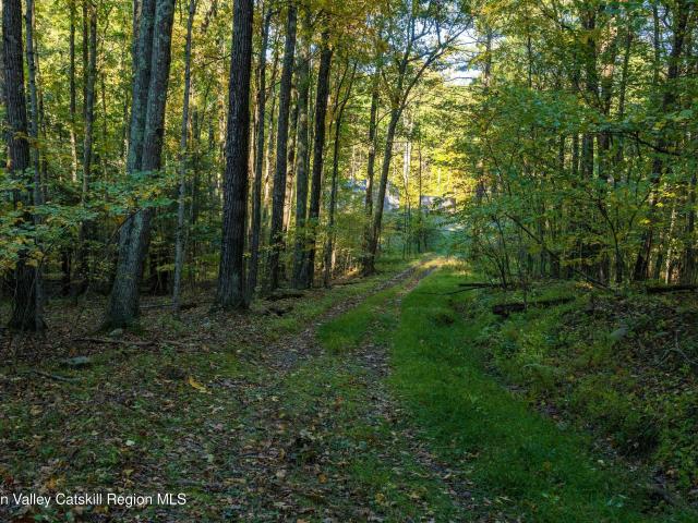 Land for sale in Town of Cairo, Greene County